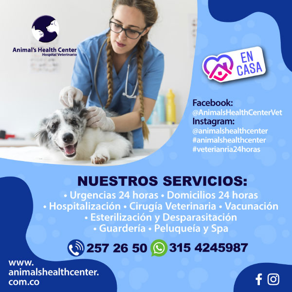 hospital para perros 24 horas near me
